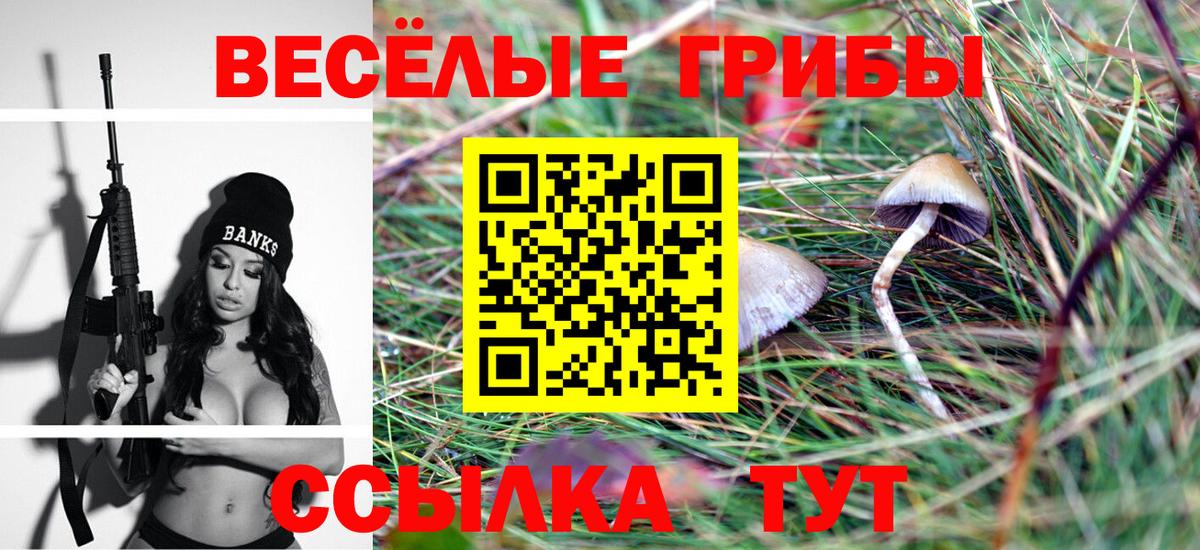 Галлюциногенные грибы мицелий Красногорск