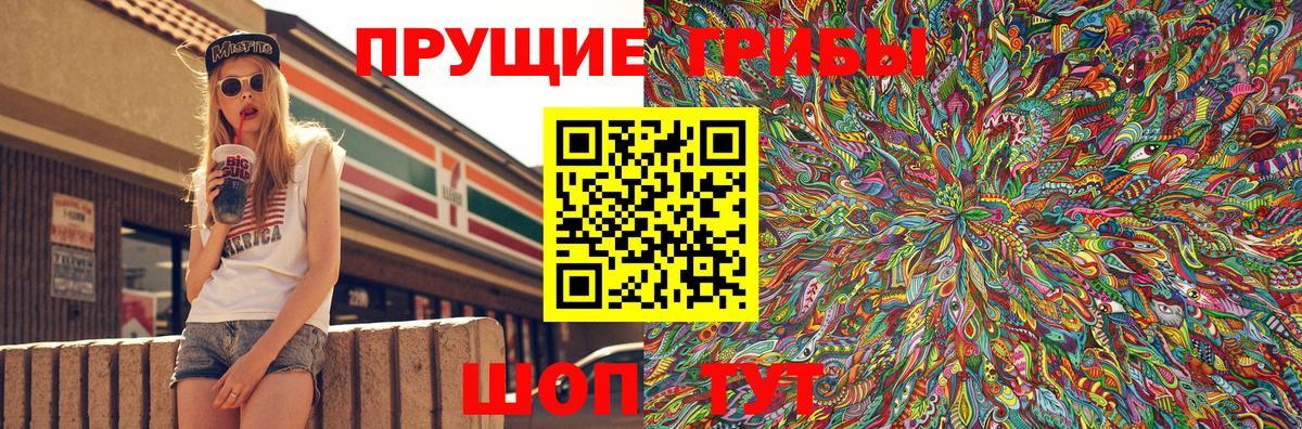 Псилоцибиновые грибы Psilocybe  Псилоцибиновые грибы GOLDEN TEACHER  Вход с VPN  Красногорск 